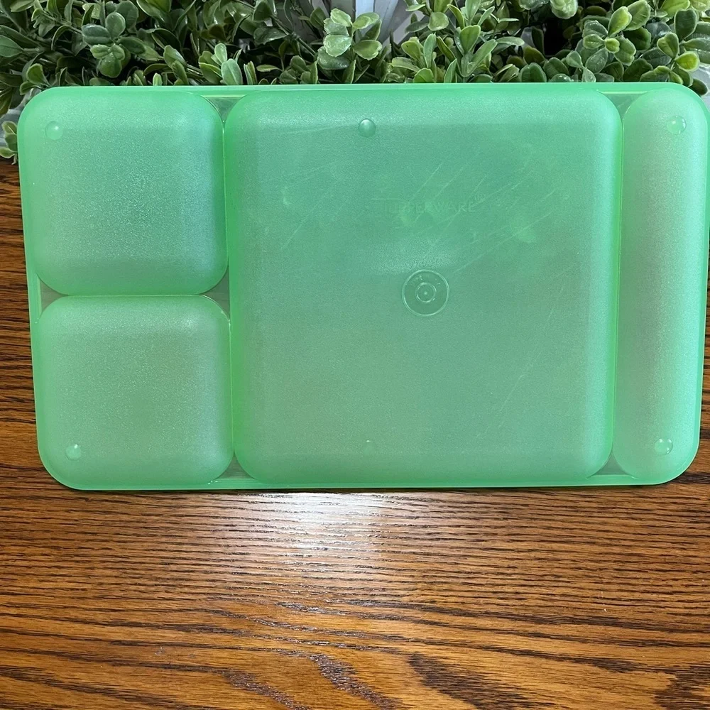 Tupperware Classic Divided Picnic Camping‎ Trays Set of 4 Multicolor #1535
